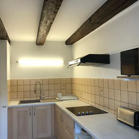 Quai Des Pecheurs - Vue Cathedrale * ستراسبورغ