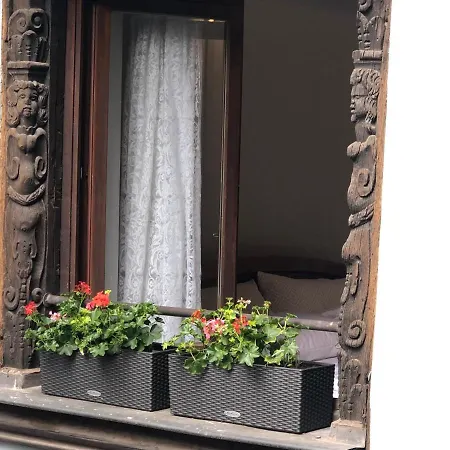 Apartman Quai Des Pecheurs - Vue Cathedrale Strasbourg