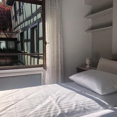 Quai Des Pecheurs - Vue Cathedrale